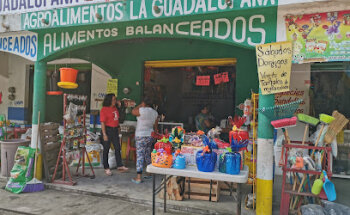 AGROALIMENTOS LA GUADALUPANA II