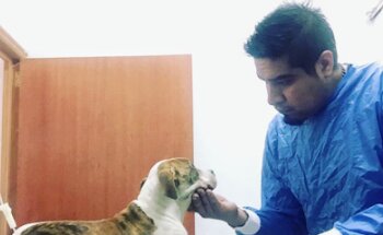 Médico veterinario Dr Omar Zavala a