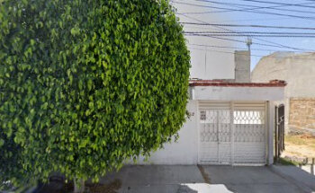 Marin Muñoz Antonio