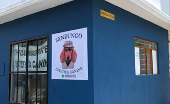 Sandungo Estetica Canina (Santa Catarina)