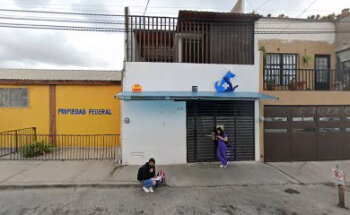 Veterinaria Dr vitela