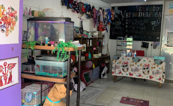 CLINICA Y ESTÉTICA VETERINARIA 