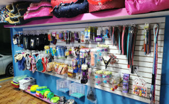 Animal Center Los Heroes Chalco Cupido