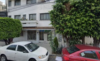 Cucciolo Estética Canina