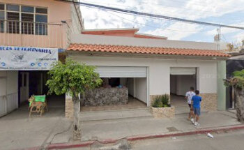 Atención y servicio veterinario Happy Horse