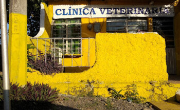 Clínica Veterinaria Del Dr. Daniel