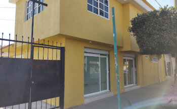 VETNESTAR. Salud animal