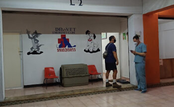 Dr vet Servicios Médicos Veterinarios
