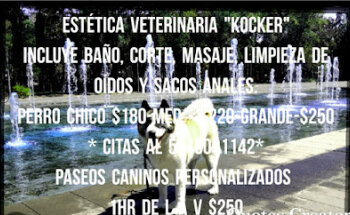 Estetica & Veterinaria Kocker