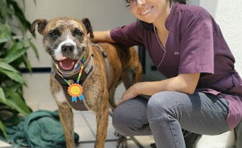 Conducta animal - Etología y entrenamiento canino.