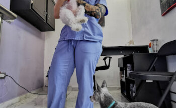 La Nueva Veterinaria