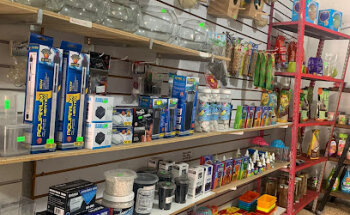 Clinica Veterinaria Mascotita