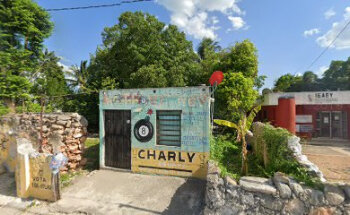 Centro Veterinario Villa Animal