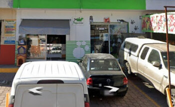 Pulgas al Aire Estética