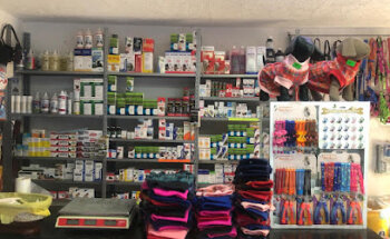 Veterinaria arca de Noé 2