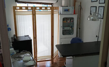 Centro Veterinario Niños Héroes