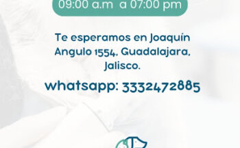 CareVet servicios veterinarios