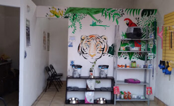 El Perro de la Corregidora