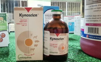 Golden Horse (Insumos Veterinarios)