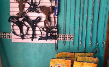 Clínica Veterinaria “Alta Vista”