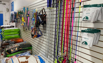 Clinica Integral Veterinaria Rivera