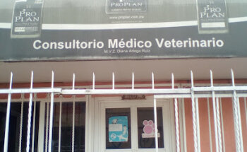 Consultorio Medico Veterinario