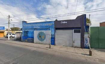 Centro Quirurgico Veterinario de Ocotlán