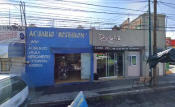 Veterinaria Poseidon