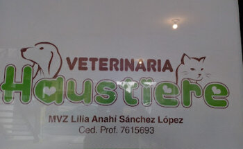 Veterinaria Haustiere
