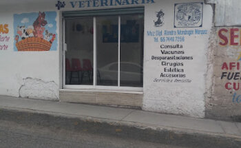 Veterinaria MondraDog