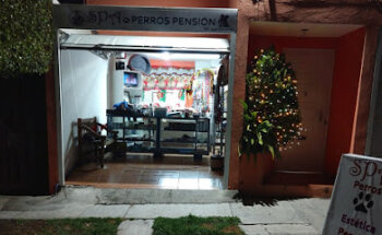 SPA Perros