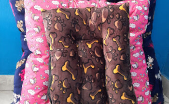 veterinaria Pet House