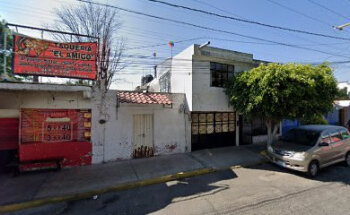 Fundación solidaridad animal