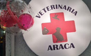 Veterinaria ARACA
