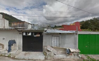 Servicios Veterinarios