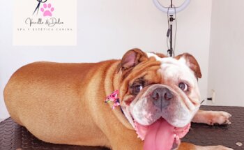 Estética Canina Vainilla & Dolce