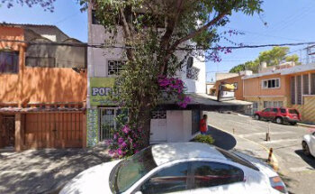 PUPPIES HOME Estrella