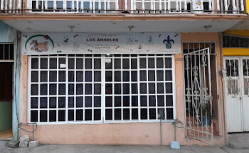 Servicios Veterinarios LOS ÁNGELES