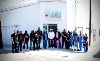 LA CASA DE LOS BULLS