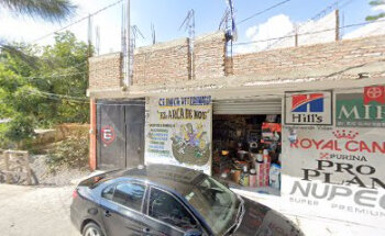 Veterinaria el arca de noe