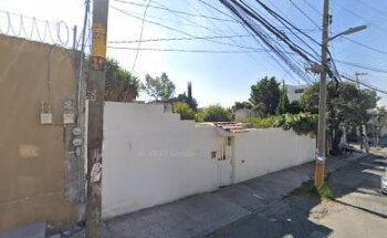 Servicio veterinario