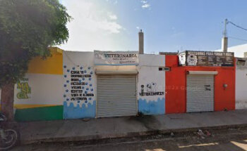 Veterinaria pista de azul