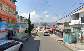 Veterinaria el manglar