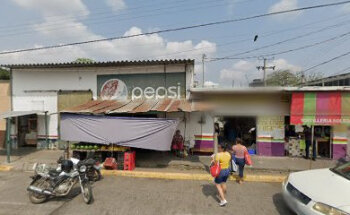 Veterinaria El Lechón