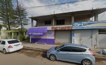 Clínica Veterinaria Happy Dogs