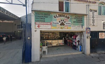 Veterinaria Guanaco 2