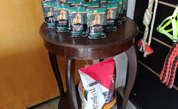 veterinaria Brydelu 2