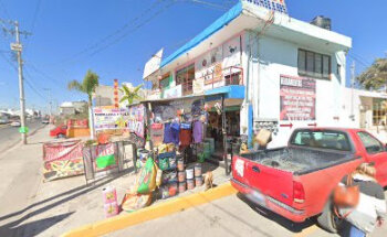 Servicios veterinarios