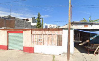 Servicio Médico Veterinario