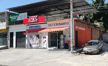 Consultorio Veterinario Acolapa